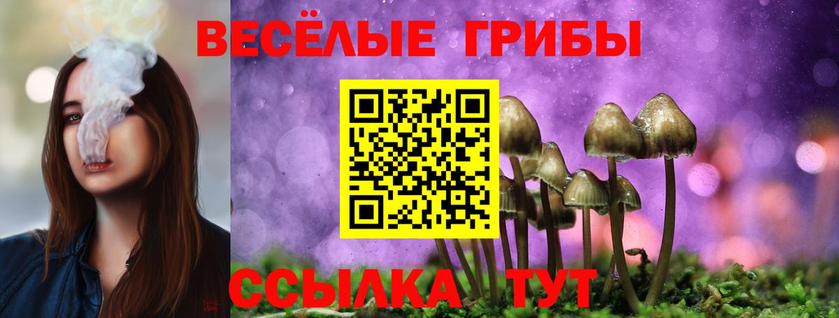 Назрань  Галлюциногенные грибы мухоморы  Галлюциногенные грибы мухоморы  Вход с VPN 